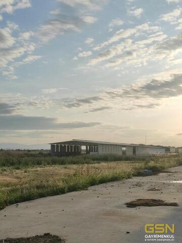 13-İZMİR DİKİLİ BAHÇELİ MAHALLESİNDE DENİZE 3. PARSEL 48.000 M2 İÇERİSİNDE KURULU 4000 BÜYÜKBAŞLIK RUHSATLI ÇİFTLİK